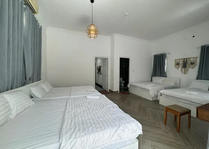 9A Tran Quy Cap - Villa Ho Boi Vung Tau Gan Bien