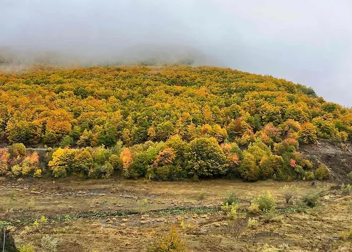 Vila Davidoski Mavrovo-Nationalpark