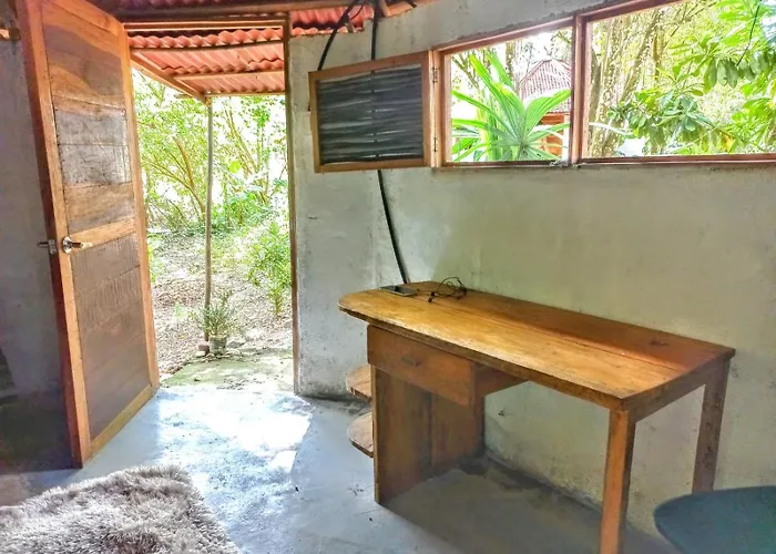 Coliving & Lodge Palomino