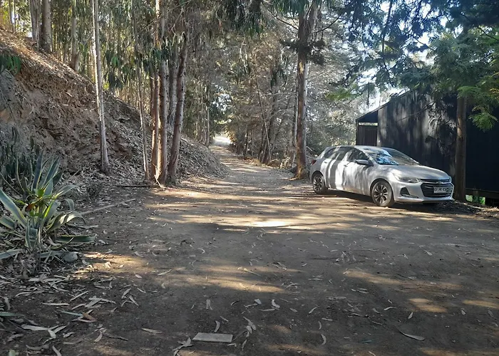 Casa En Laguna Pichilemu