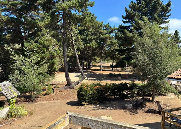 Villa Casa En Algarrobo