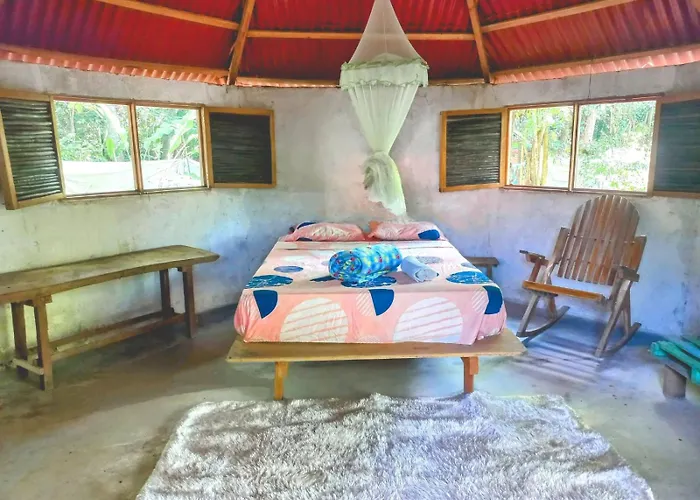 Coliving & Lodge Palomino