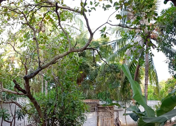 Chacara Recanto Da Paz Areia Branca Mosqueiro Aju Aracaju