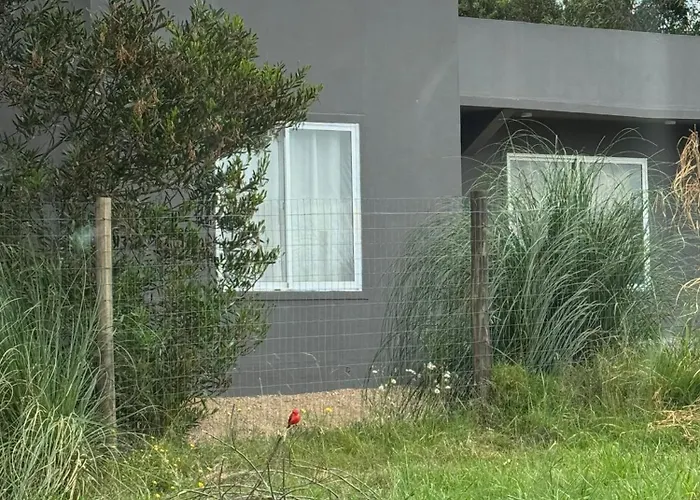 Villa La Juanita En Santa Monica Jose Ignacio