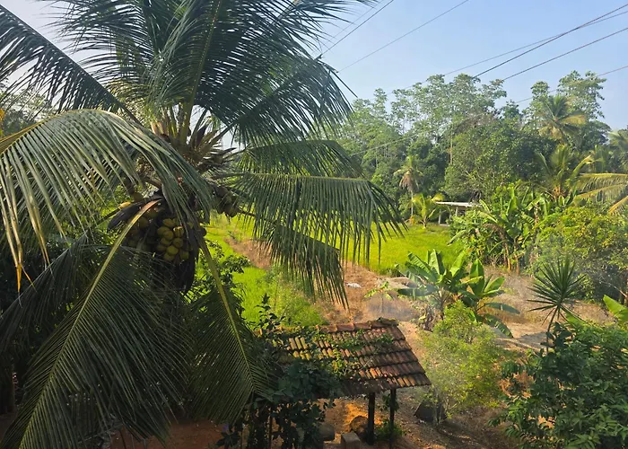 Aloe Villa Ahangama