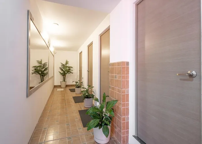Habitacion Nueva En Coyoacan 41 Mexiko-Stadt