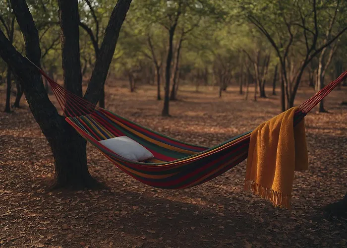 Unique Experiences Chalets Glamping Treehouses Camping Zimbabwe Norton