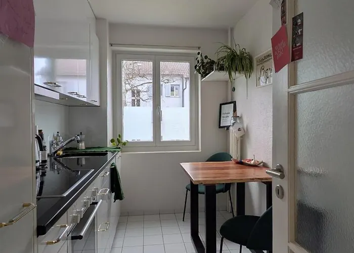 Cozy Appartement in Zürich