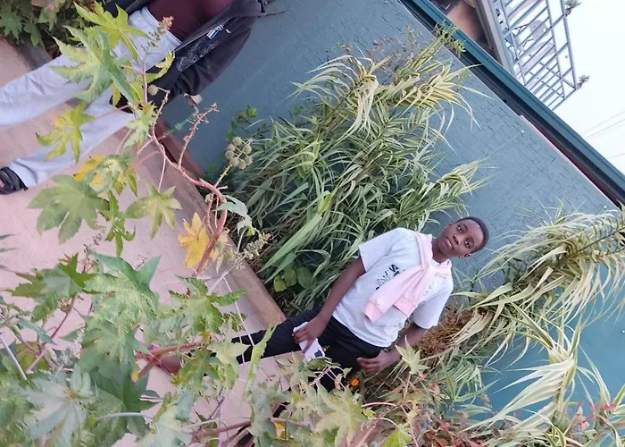 Ktc Apartments Kigali