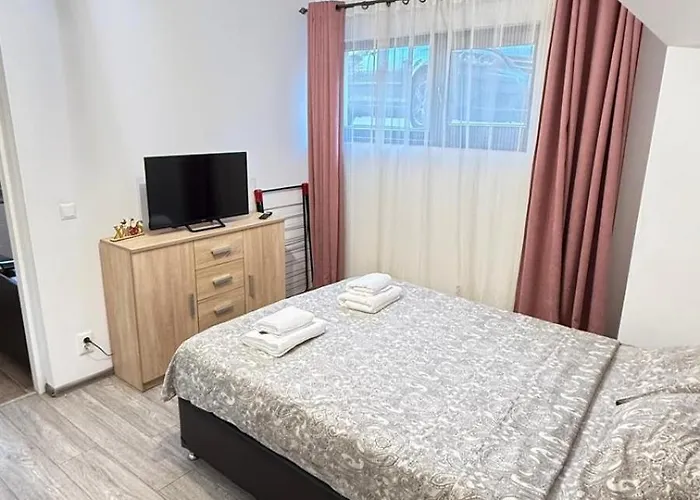 Easy Link Studio Aeroport Spital Neuro Sf Maria Iasi
