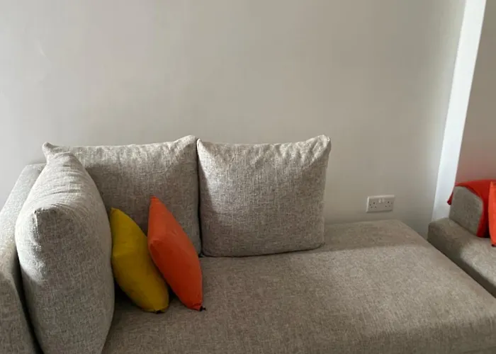 Cozy Studio In Roysambu Nairobi