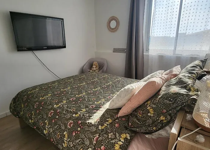 Large 2-Room Apartment Like A Cocoon Nizza