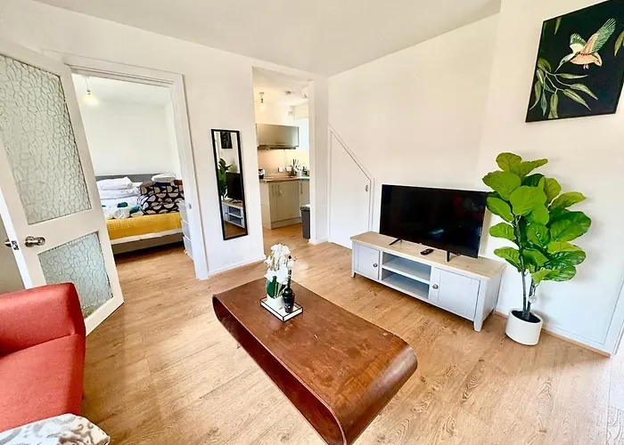 Comfortable Modern Home In East London