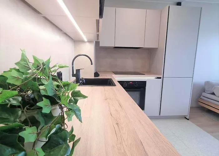 Moderni City Kattohuoneisto Tampere