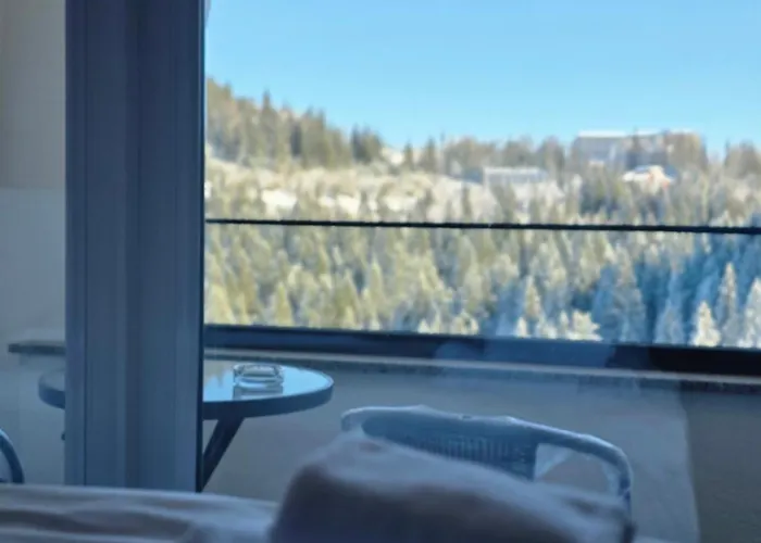Privatni Apartman A37 U Sklopu Hotela Vucko Jahorina