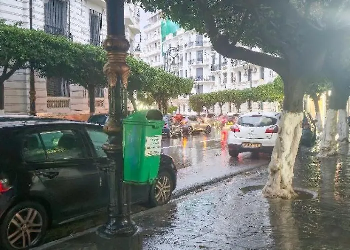 Confort, Proprete Et Tranquillite A Alger Centre