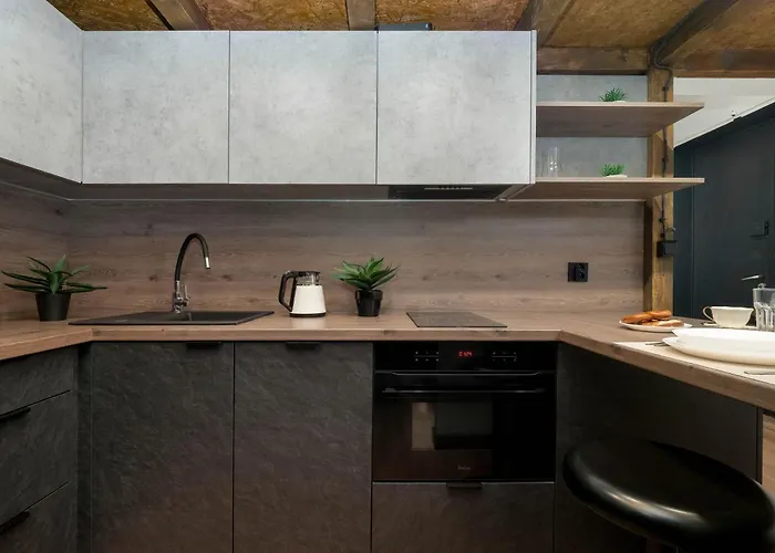 Tasteful Studio Close To Piotrkowska Street By Noclegi Renters Łódź