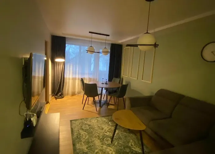 Two Bedroom Cozy Apatment Wilna