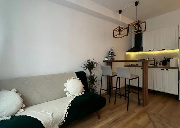 Studio Brazda Craiova