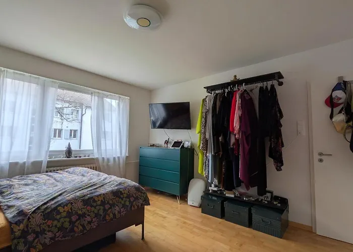 Cozy Appartement in Zürich