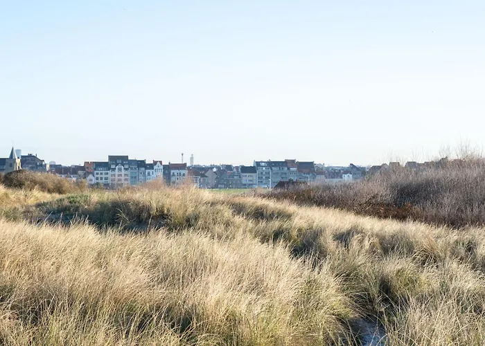 Ground Floor Sea View Apartment In Raversijde, Oostende