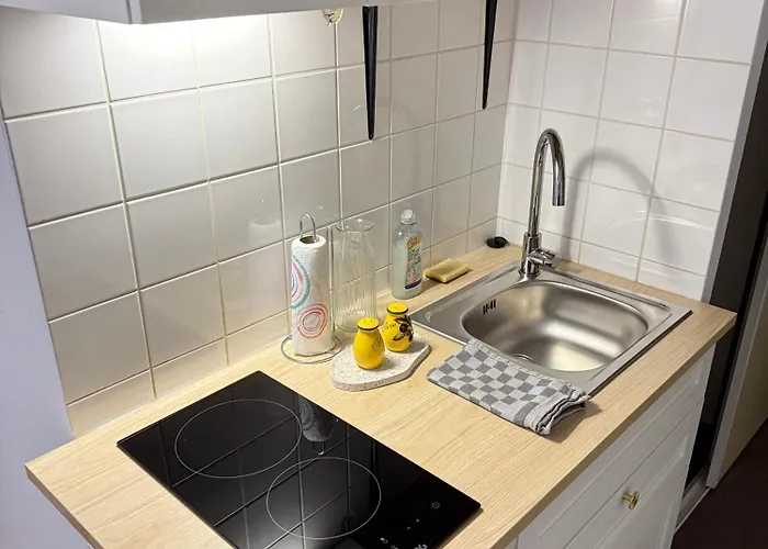 Studio Le 326 Tout Equipe A Nancy - Garage Gratuit
