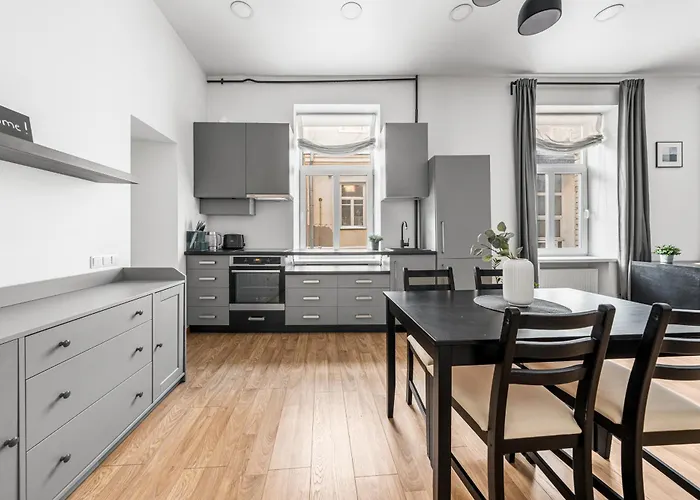 Spacious And Bright Lukiskiu Square Apartment Wilna