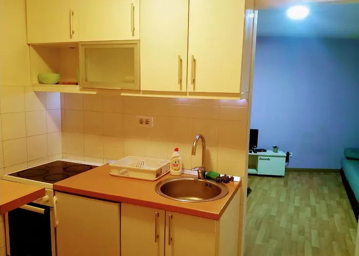 Belgrade Dorcol Apartment - City Center