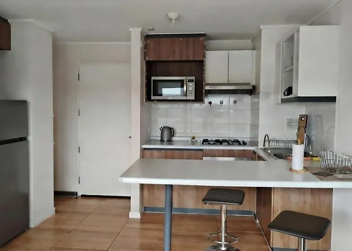 Ferienwohnung Departamento En Osorno 1D1B