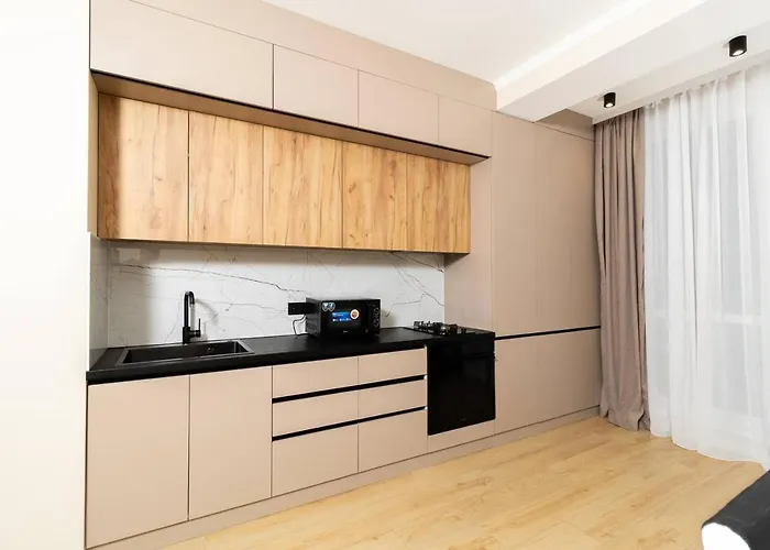 Peaceful Stay In A One Bedroom Apartment Kischinau