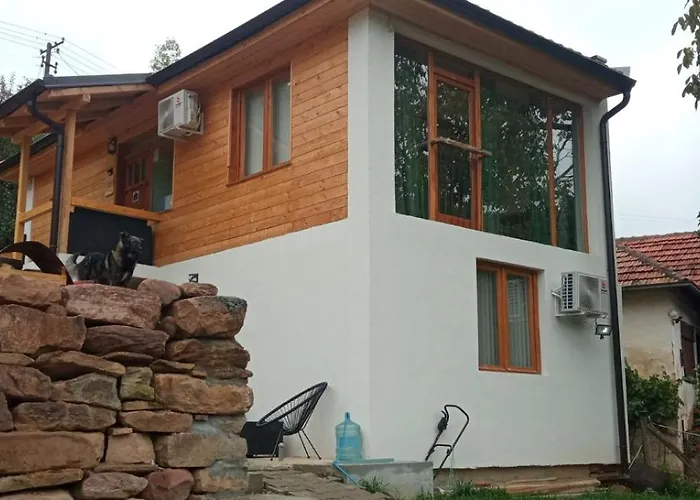 Vila Damascena Pirot