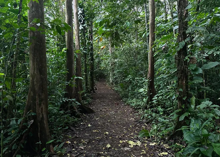 Cozy Studio With Private Tropical Forest Tanque