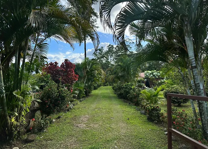 Cozy Studio With Private Tropical Forest Tanque