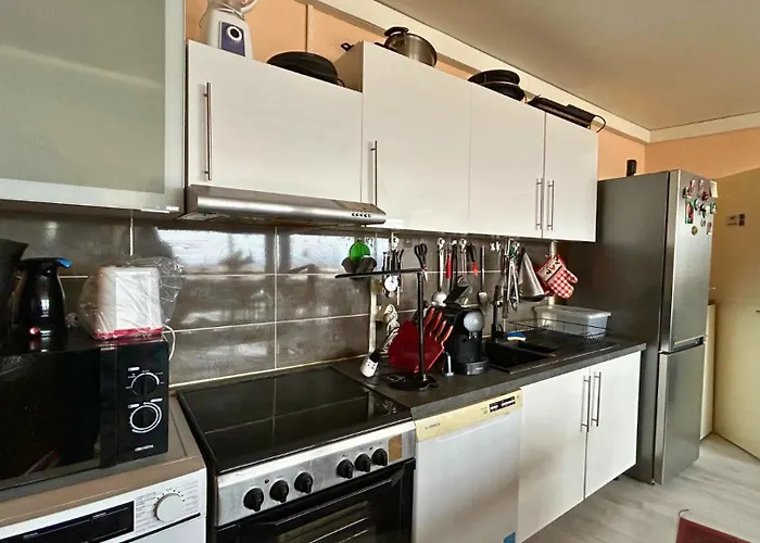 Ferienwohnung Le Panorama Mülhausen