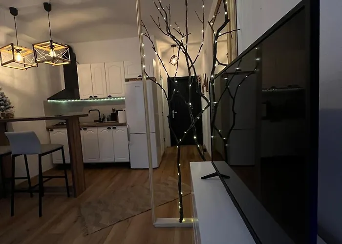Studio Brazda Craiova
