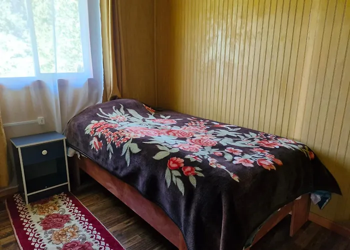 Cabana El Cobre Hornopiren