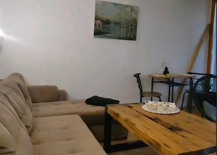 Vila Damascena Pirot