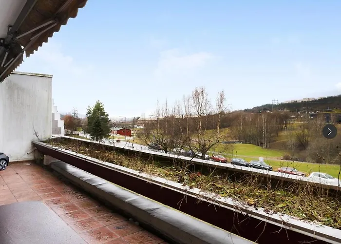 Large Apartment Close To City - In Peaceful Area Oslo
