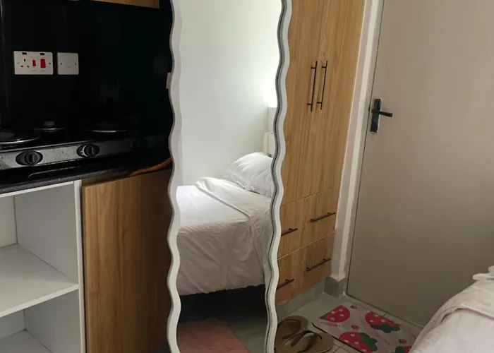 Cozy Studio In Roysambu Nairobi