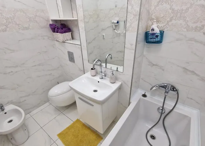 Palas Executive Apartment Iasi