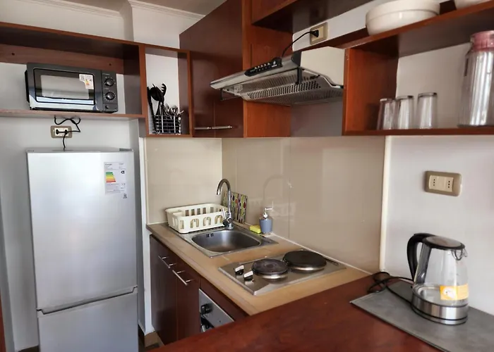 Ferienwohnung Excelentes Departamentos En Santiago Centro, Bulnes La Moneda
