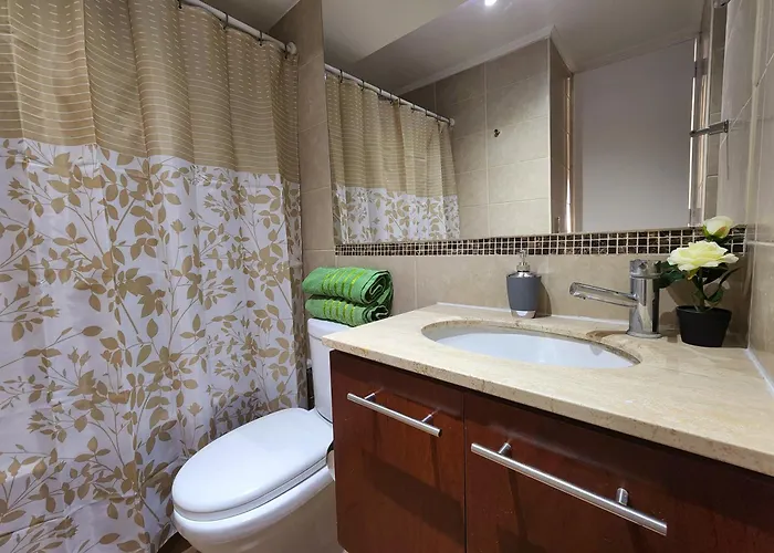 Ferienwohnung Excelentes Departamentos En Santiago Centro, Bulnes La Moneda