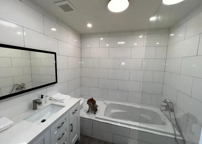 Modern Condo With Large Pool Near Isla Verde Beach San Juan