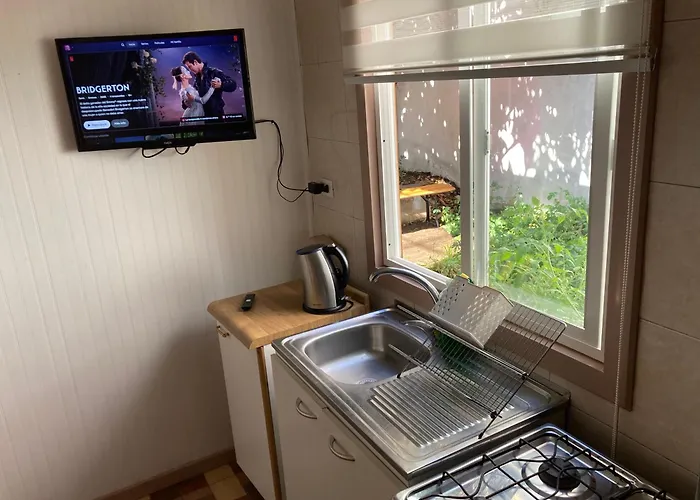 Ferienwohnung Excelente Ubicacion Depto Con Estacionamiento Pet Friendly Temuco