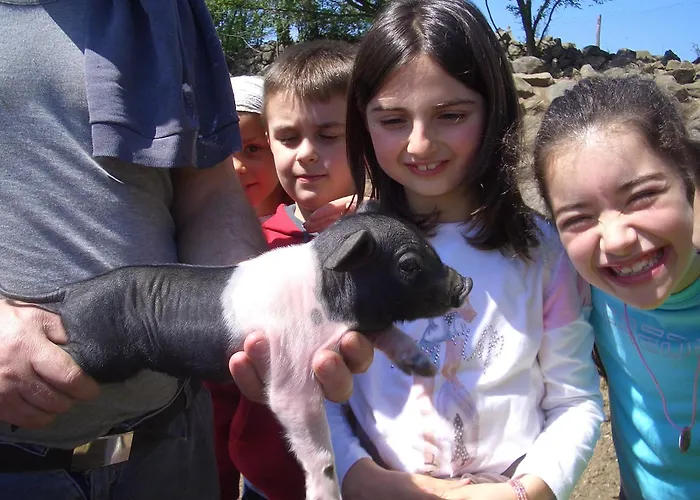 Tenuta Serpepe - Fiordaliso Piccolo Viterbo