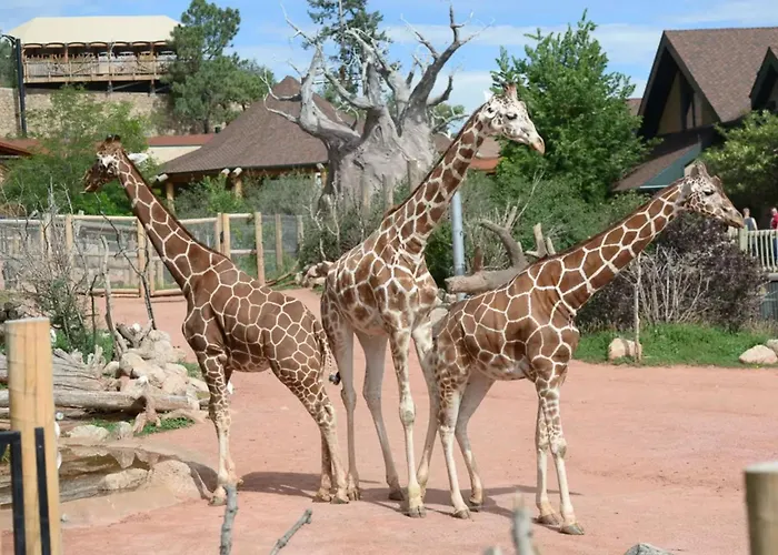 Charming Studio Near Garden Of The Gods And Trails Colorado Springs