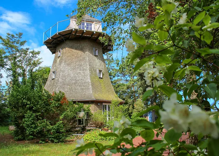 Darßer Mühle Born