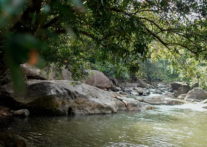 Mayaahi Resorts & Spa Nilambūr