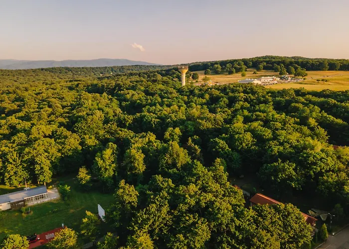Arsenal Park Transilvania Orăştie