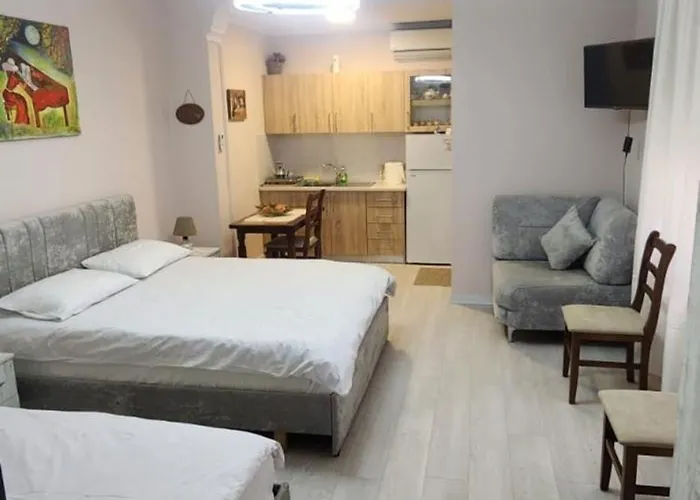 Erla'S Apartment Tirana
